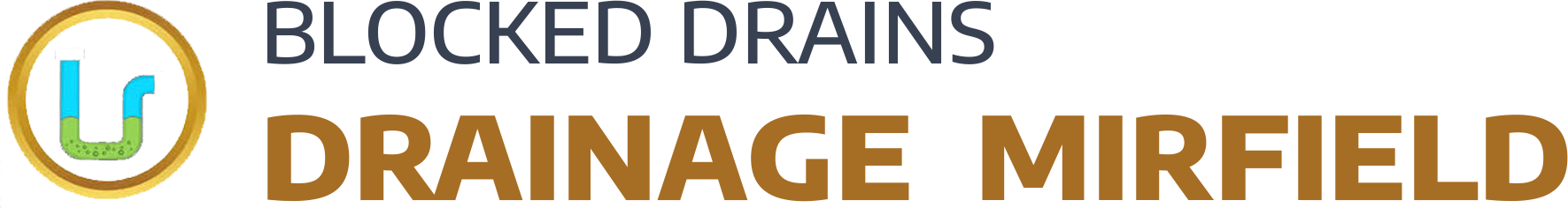 website logo